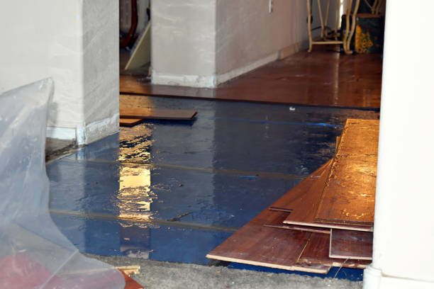 Professional Burst Pipe Cleanup technician working in Trevett, ME